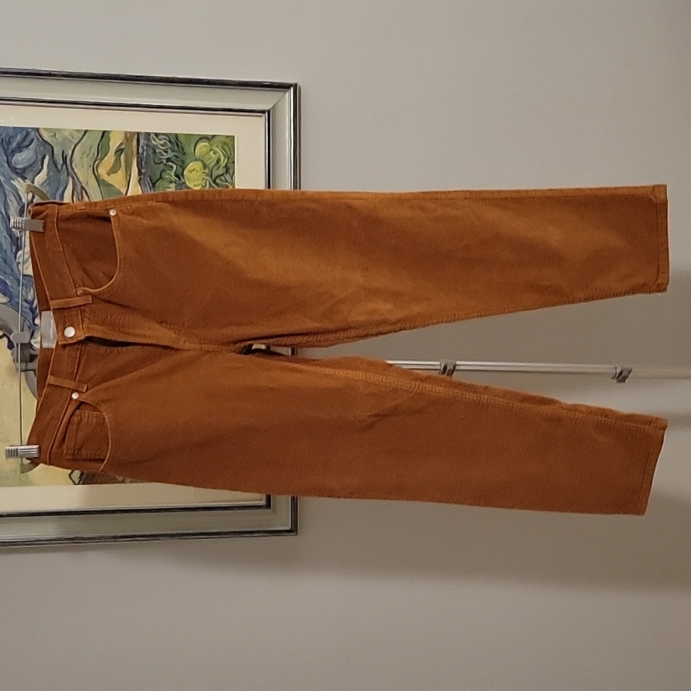 Everlane Corduroy Pants